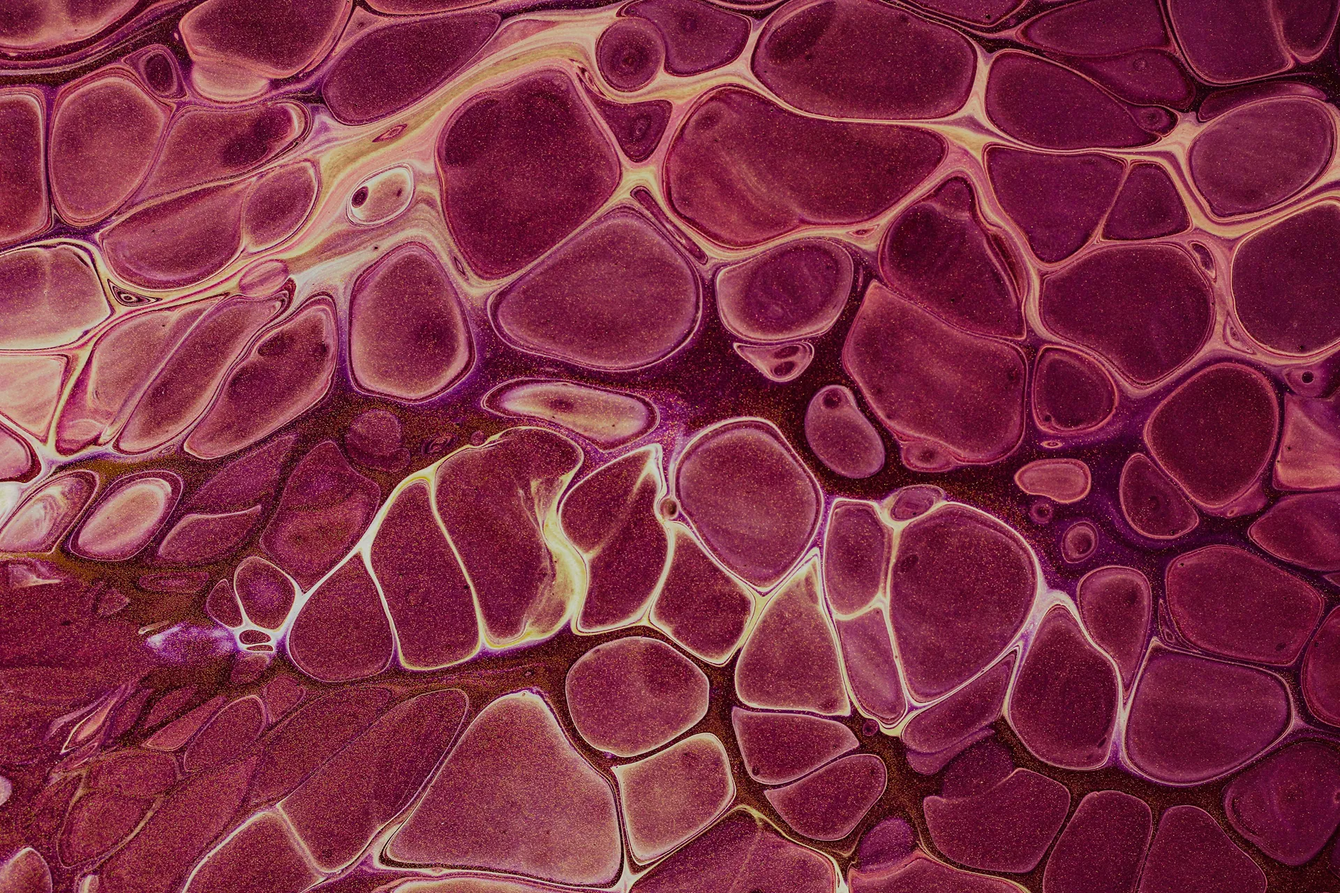 Unexplained inflammation functional medicine testing